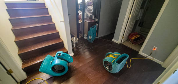 Best Local water damage restoration  in Dalworthington Gardens, TX