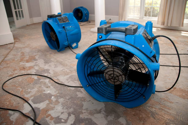 Best 24-hour water damage restoration  in Dalworthington Gardens, TX