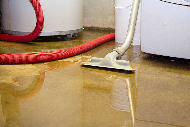 Best Water damage contractors near me  in Dalworthington Gardens, TX