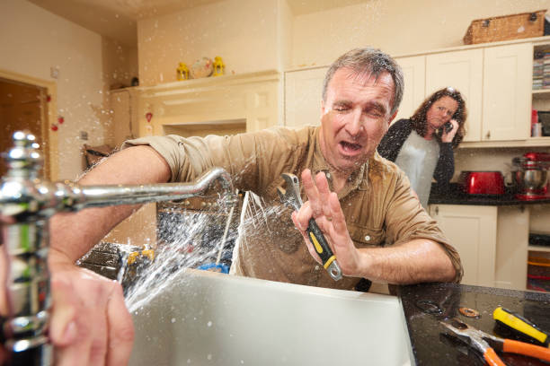 Best Mold removal after water damage  in Dalworthington Gardens, TX